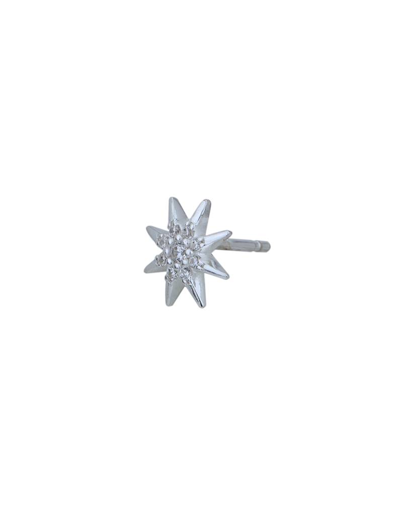 925 Sterling Silver Earrings-Vane858 : VANE858