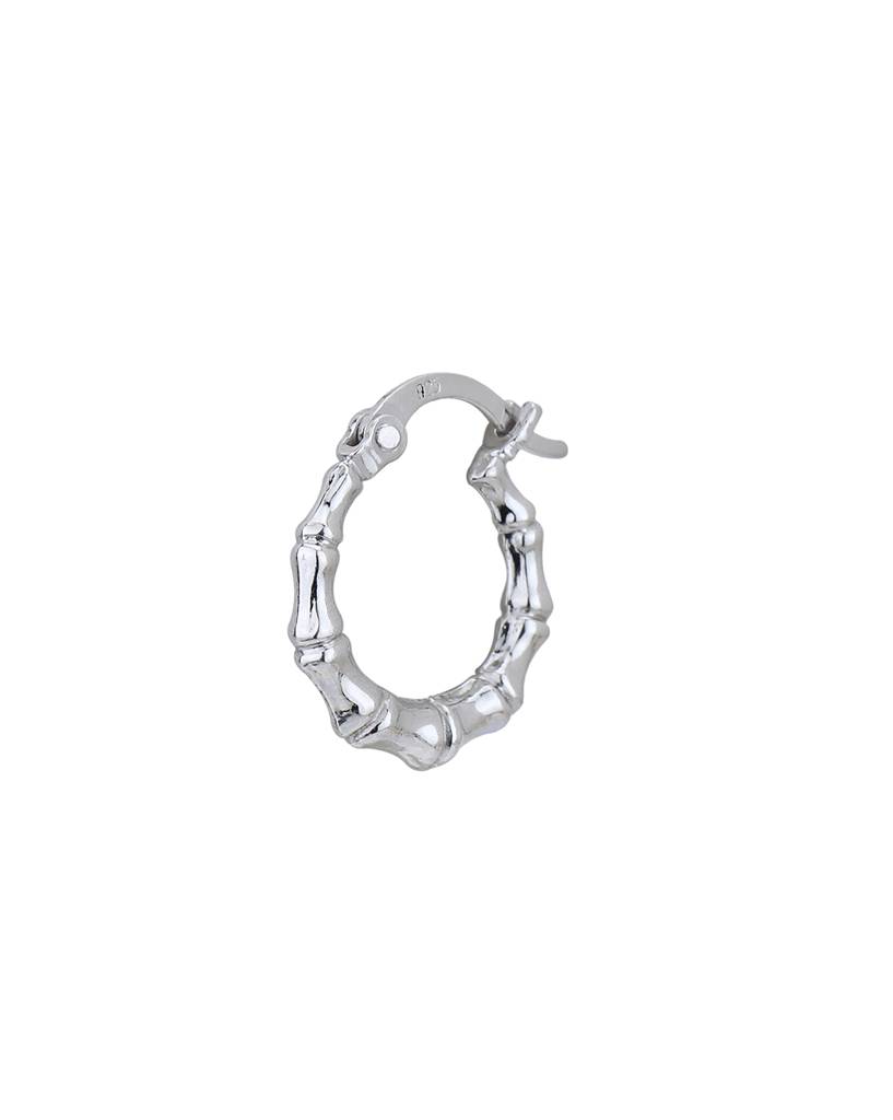 925 Sterling Silver Earrings-Vane894 : VANE894