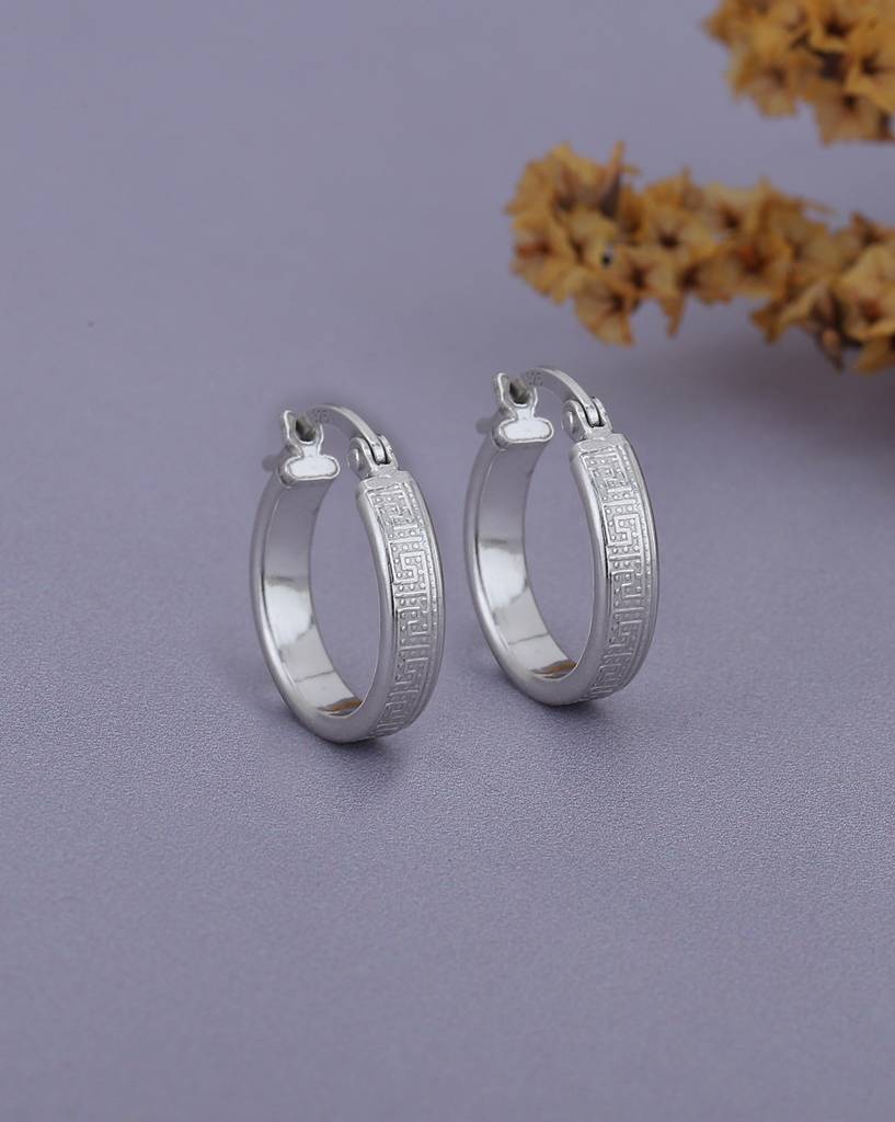 925 Sterling Silver Earrings-Vane900 : VANE900