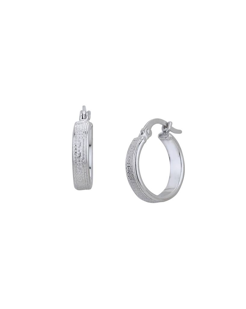 925 Sterling Silver Earrings-Vane900 : VANE900