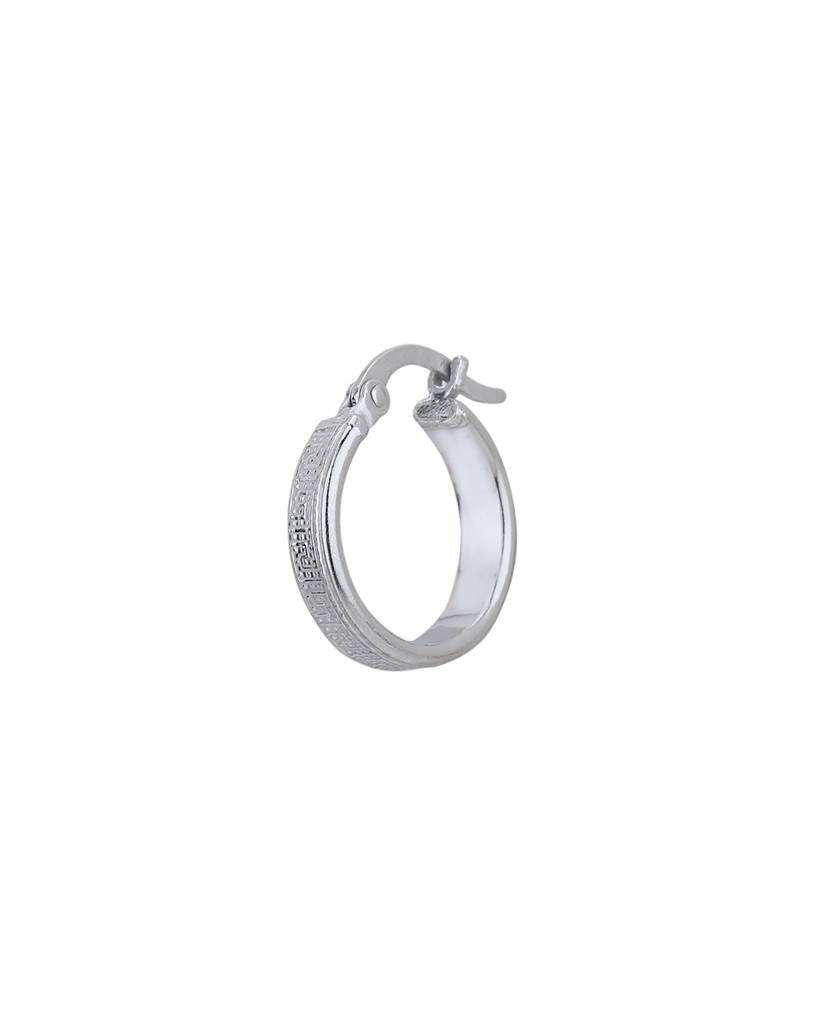 925 Sterling Silver Earrings-Vane900 : VANE900