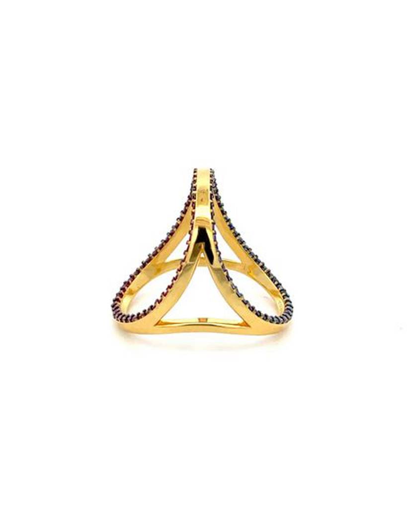 Evolve Natural Ruby And Sapphire Ring : VYR30