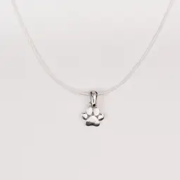 Paw Pendant With Chain