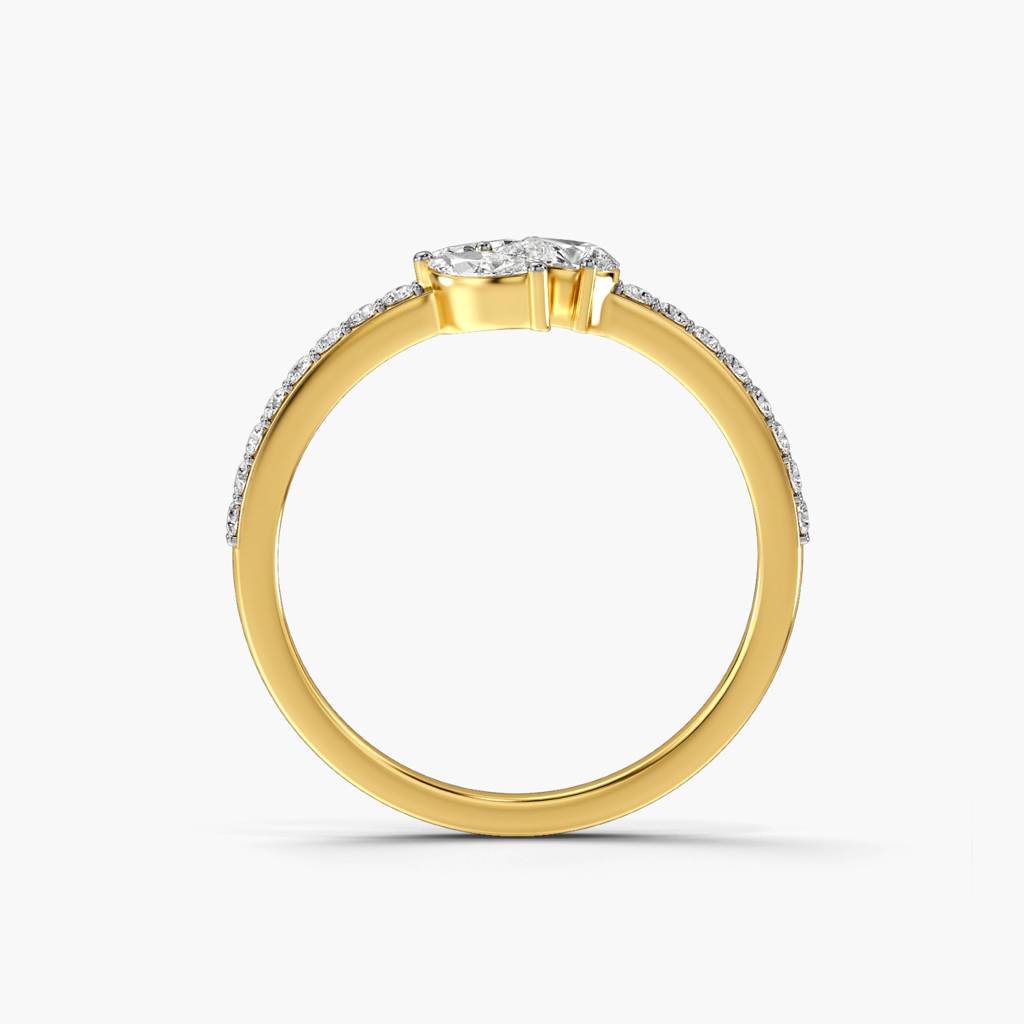 Opulent Luxe : AILR-704