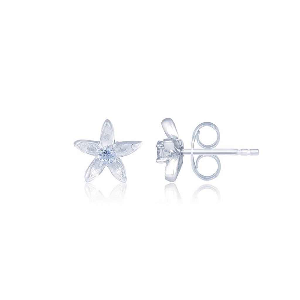 Silver Minimalist Star Studs : ZLE-1055