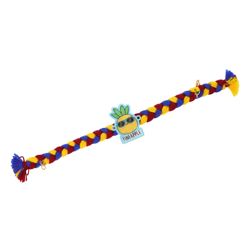 Cheerful Pineapple Buddy Kids Rakhi : 8905124561401