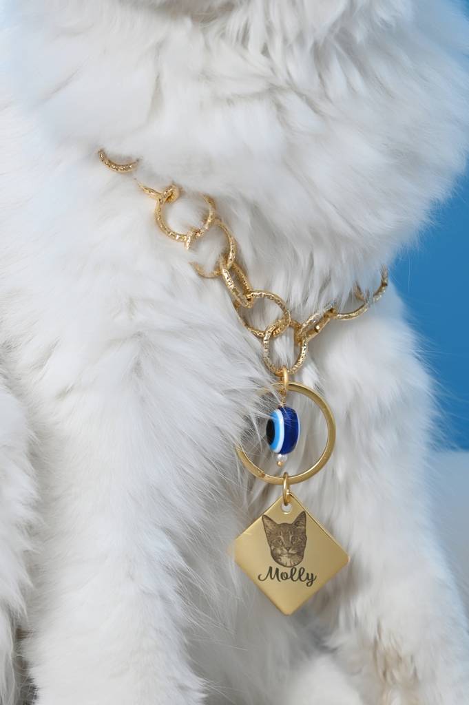 Custom Cat Name And Image Chain Collar Jewelry For Pets Gift-1 : Cat001