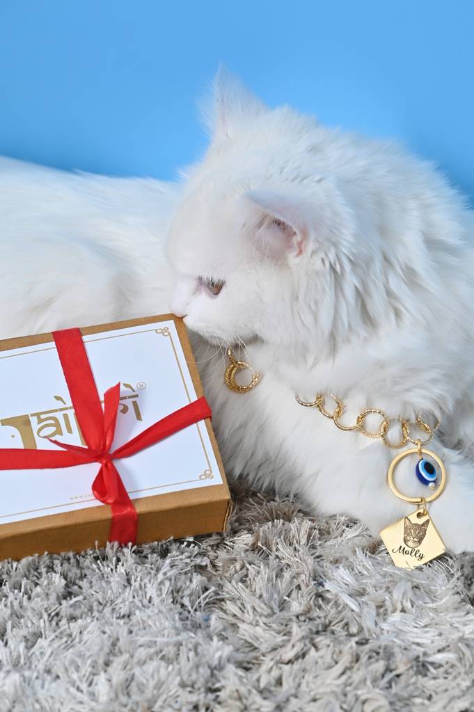 Custom Cat Name And Image Chain Collar Jewelry For Pets Gift-1 : Cat001