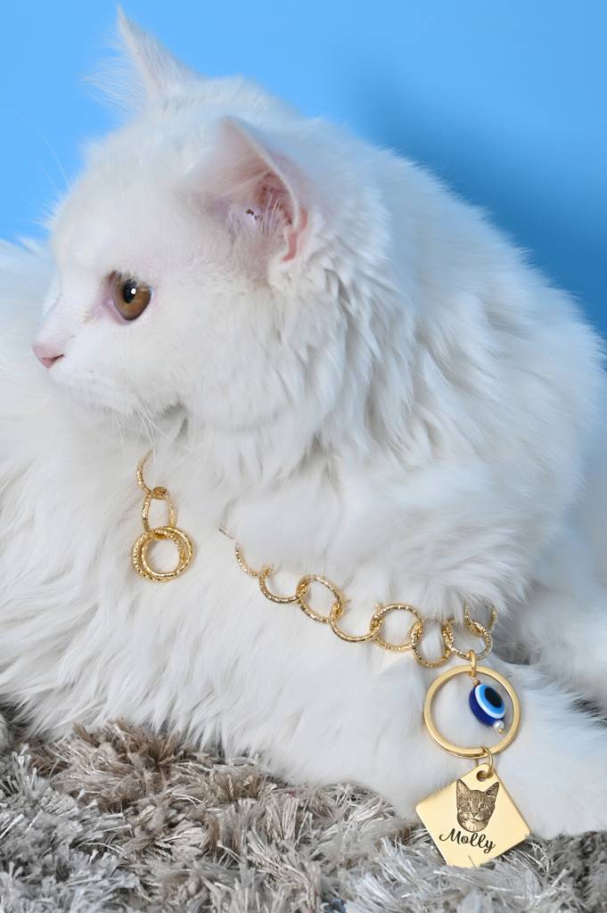 Custom Cat Name And Image Chain Collar Jewelry For Pets Gift-1 : Cat001