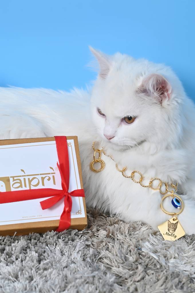 Custom Cat Name And Image Chain Collar Jewelry For Pets Gift-1 : Cat001