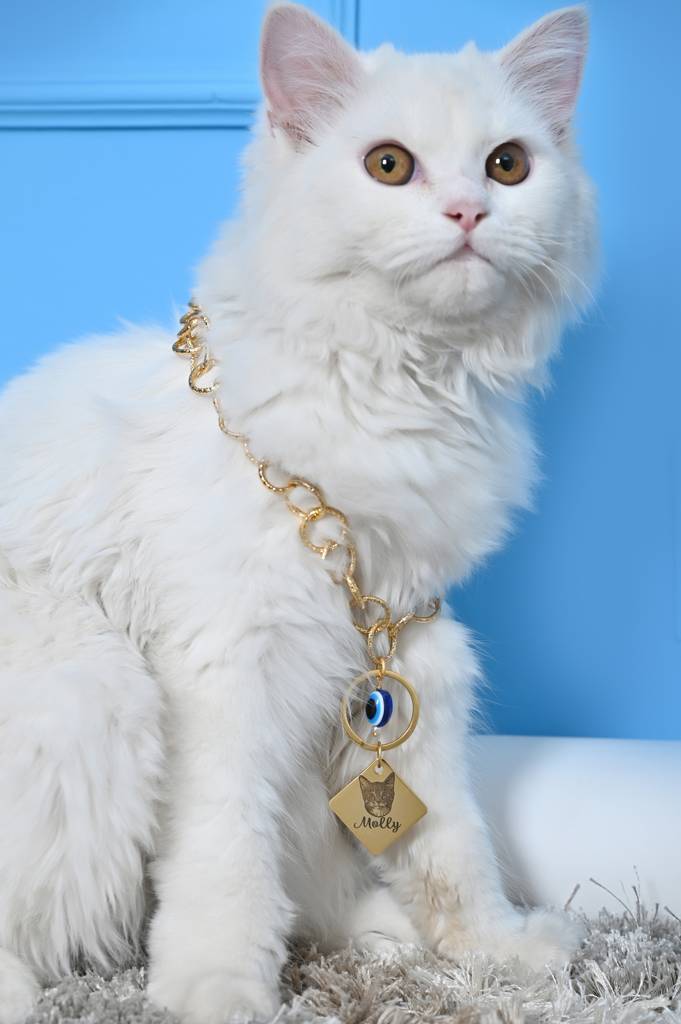 Custom Cat Name And Image Chain Collar Jewelry For Pets Gift-1 : Cat001