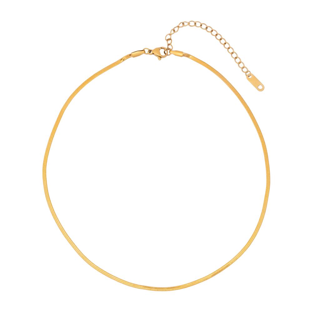Exquisite Sleek Smooth Chain Necklace - 18K Gold Plated : 100026