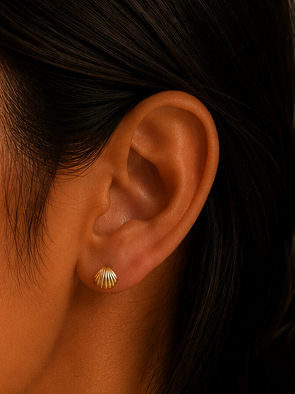 Golden Seashell Studs : E343