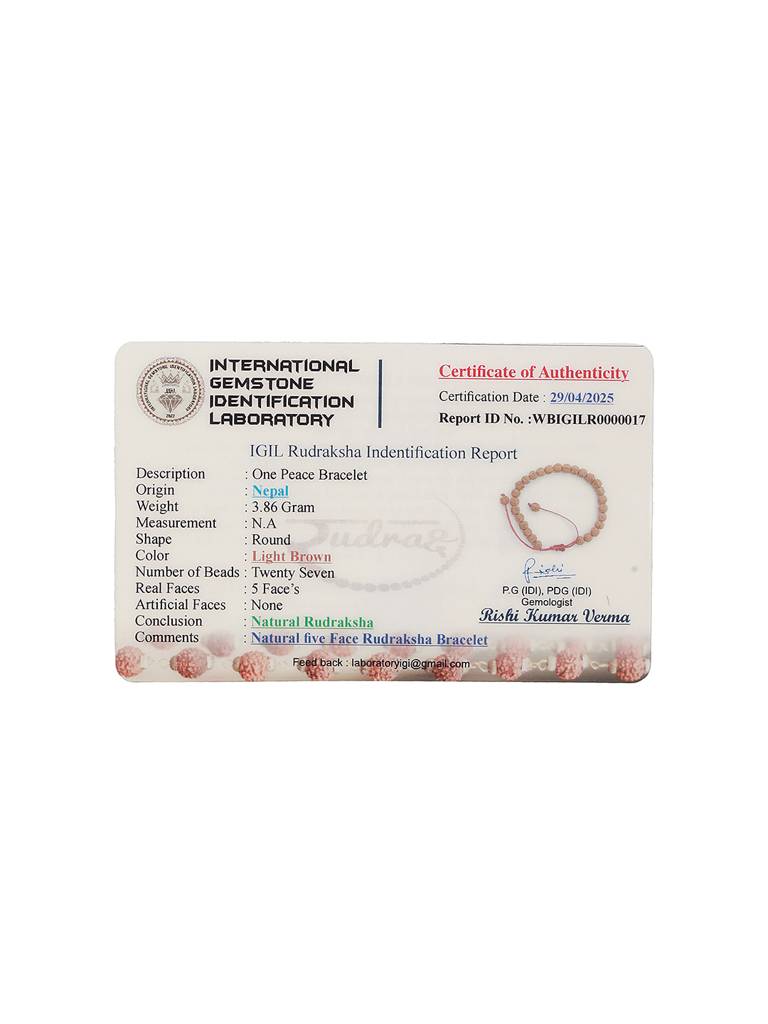 Authentic 5 Mukhi Rudraksha Bracelet With Adjustable Red Thread : STBR8203