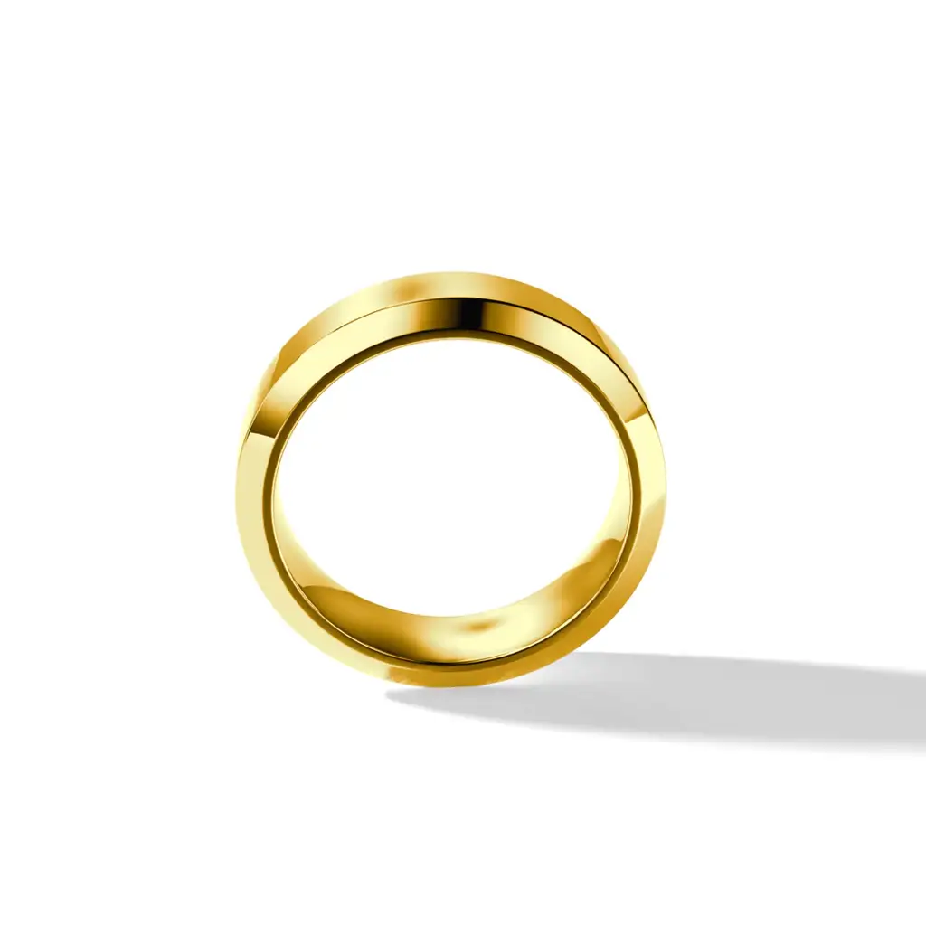 Drake Ring : DRAKE-RNG-RDM-PLT-GLSY-FNSH-17