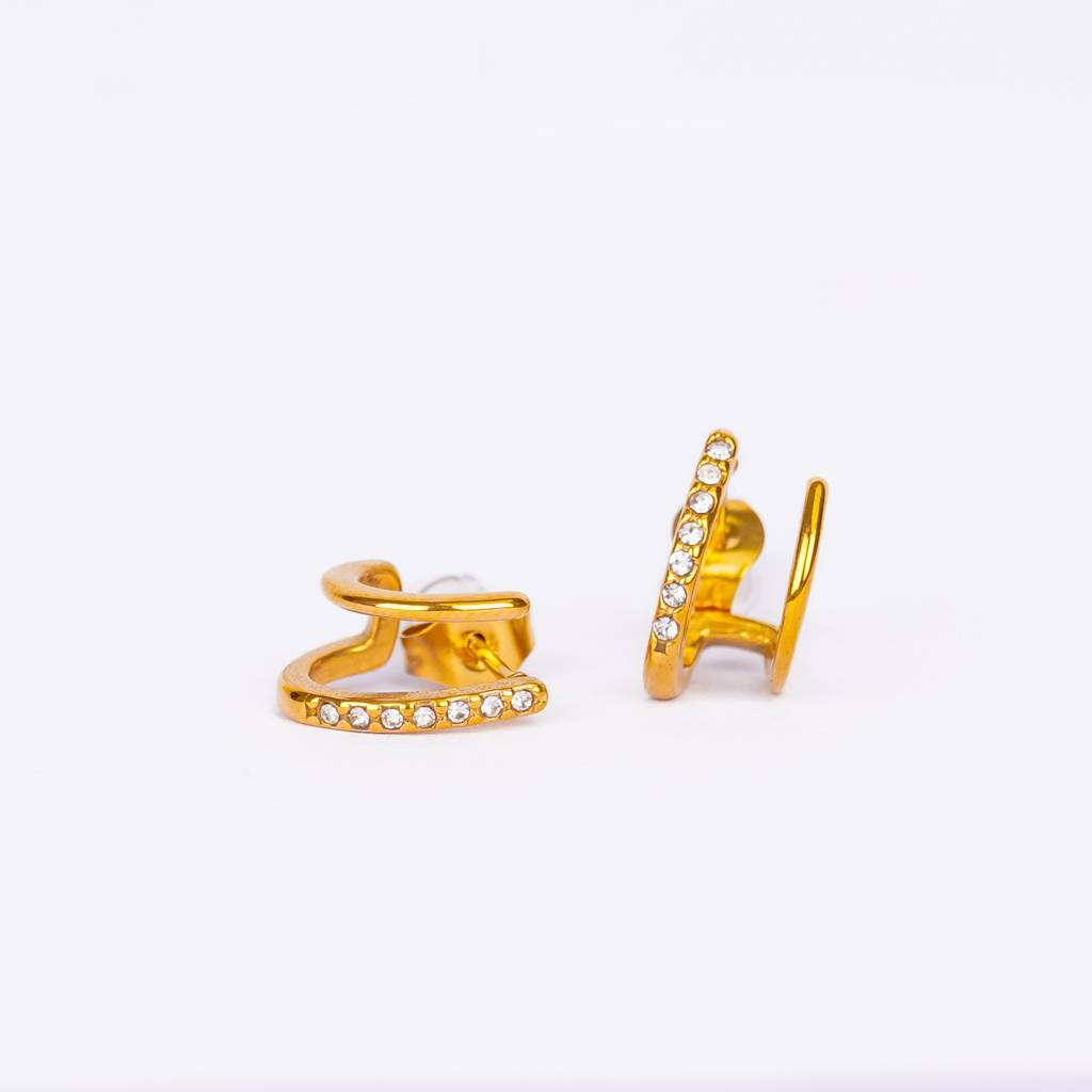 Amore - Modern Hoop Earrings : ER139