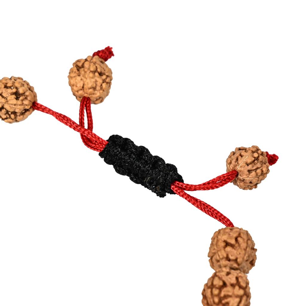 5 Mukhi Rudraksha Healing Gemstone Bracelet : 5MUKHI-RUDRAKSHA-BRACELET