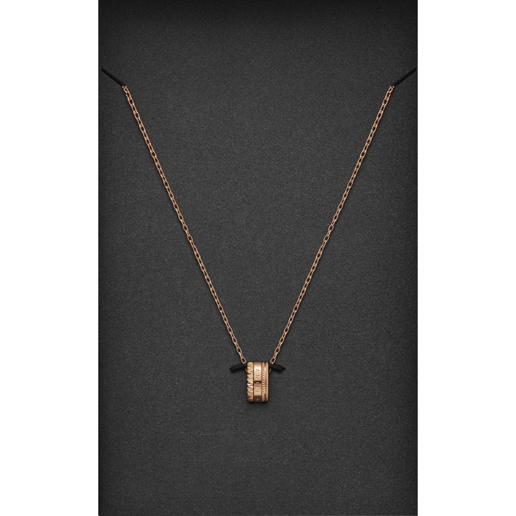 Daniel Wellington Jewellery Daniel Wellington Elevation Necklace 