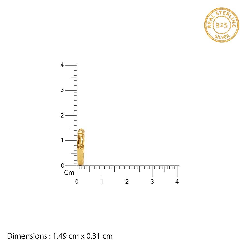 925 Silver Golden Princess Hoop Earrings|Studs To Gift Women & Girls | With Certificate Of Authenticity And 925 Stam : ER03483