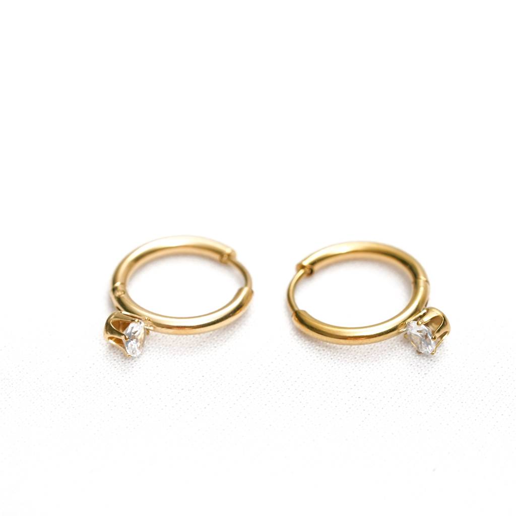 Mini Hoop Earrings With Zircon Charm : ER87