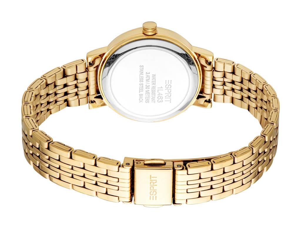 Esprit Florence Analog Watch For Women : ES1L463M0055