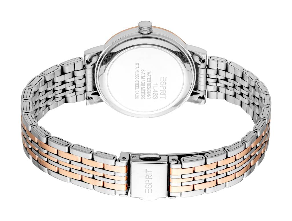 Esprit Florence Analog Watch For Women : ES1L463M0105