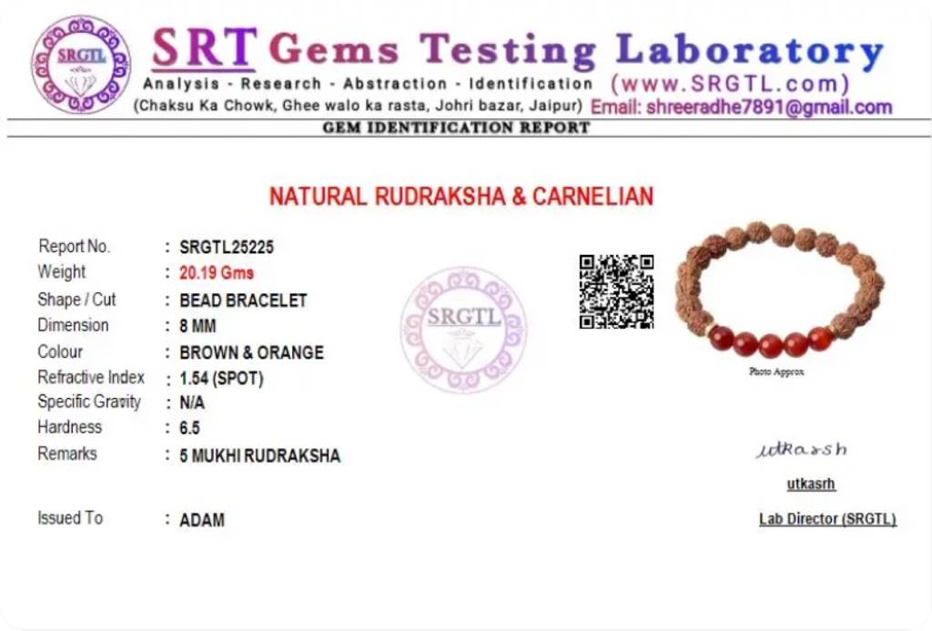 5 Mukhi Rudraksha & Carnelian Natural Stone Bracelet : BD-155