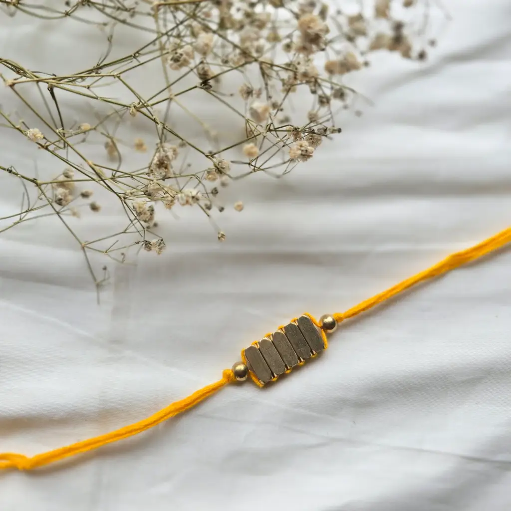 Eco-Friendly Rakhi : Rakhi23