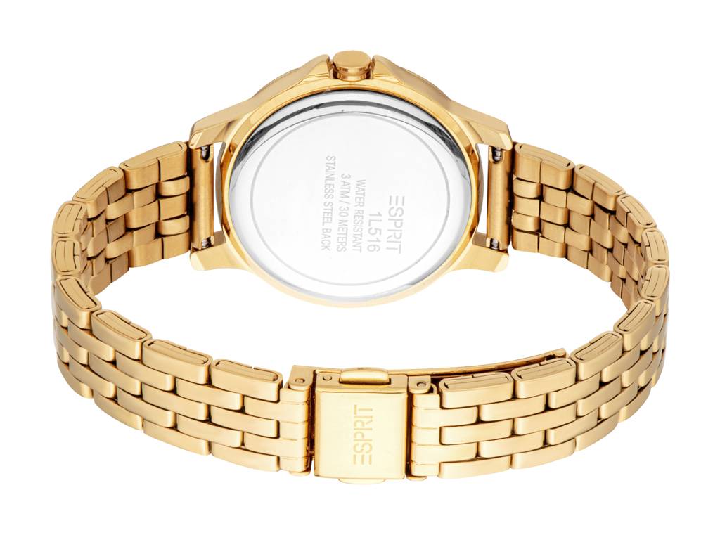 Round Dial (Analogue) Women Watch : ES1L516M0055
