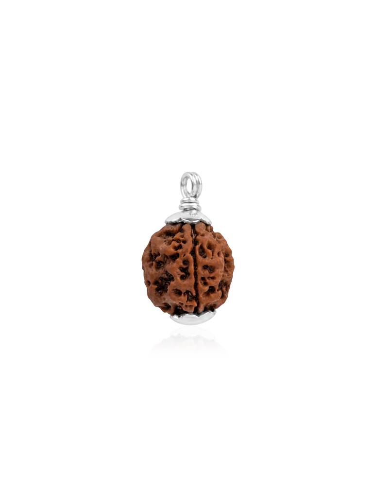 5 Mukhi Silver Rudraksha Pendant : CMGL138