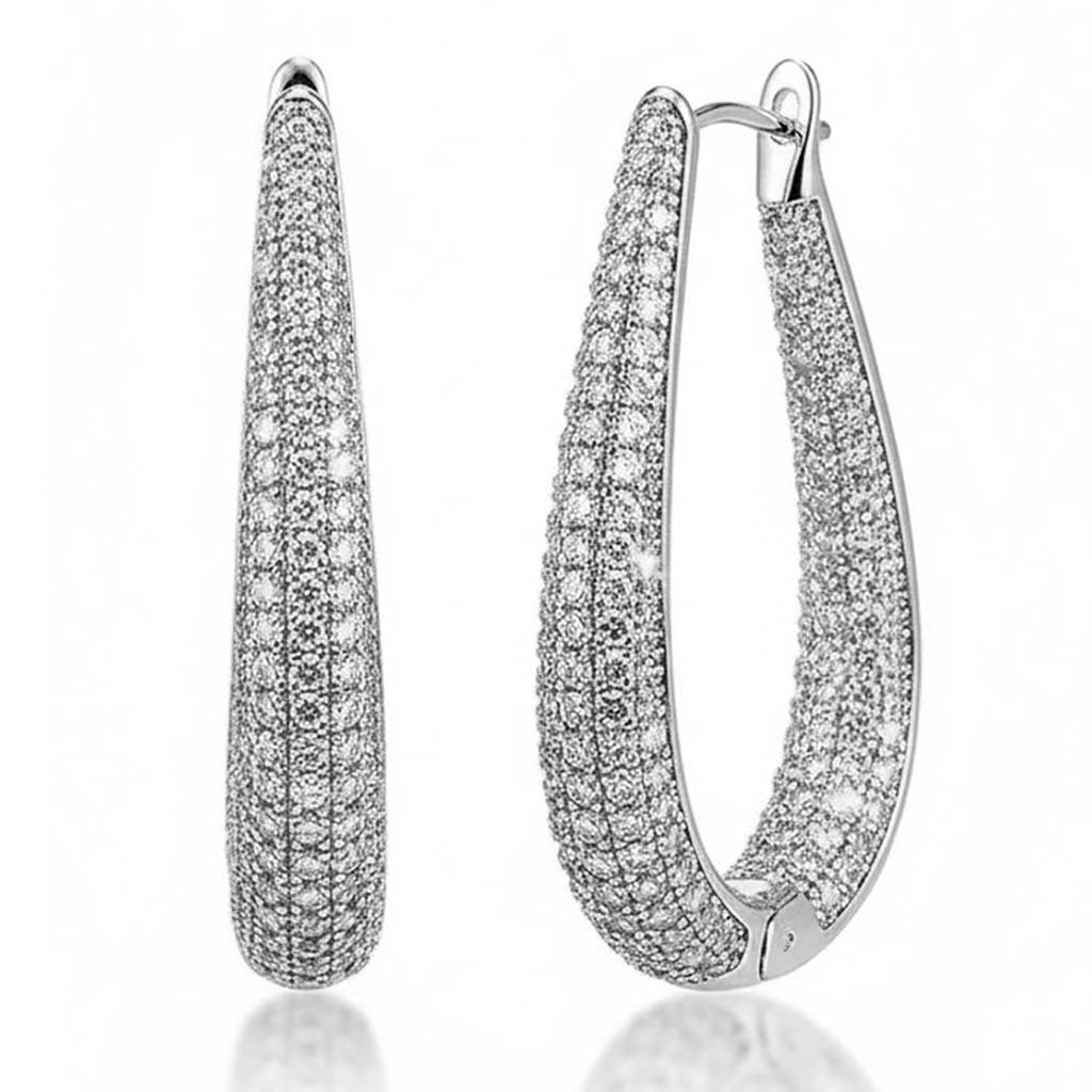 Silver Plated Cubic Zirconia Studded Hoop Earrings Fancy Stylish Jewellery Gift For Women & Girls : PX9E3133S