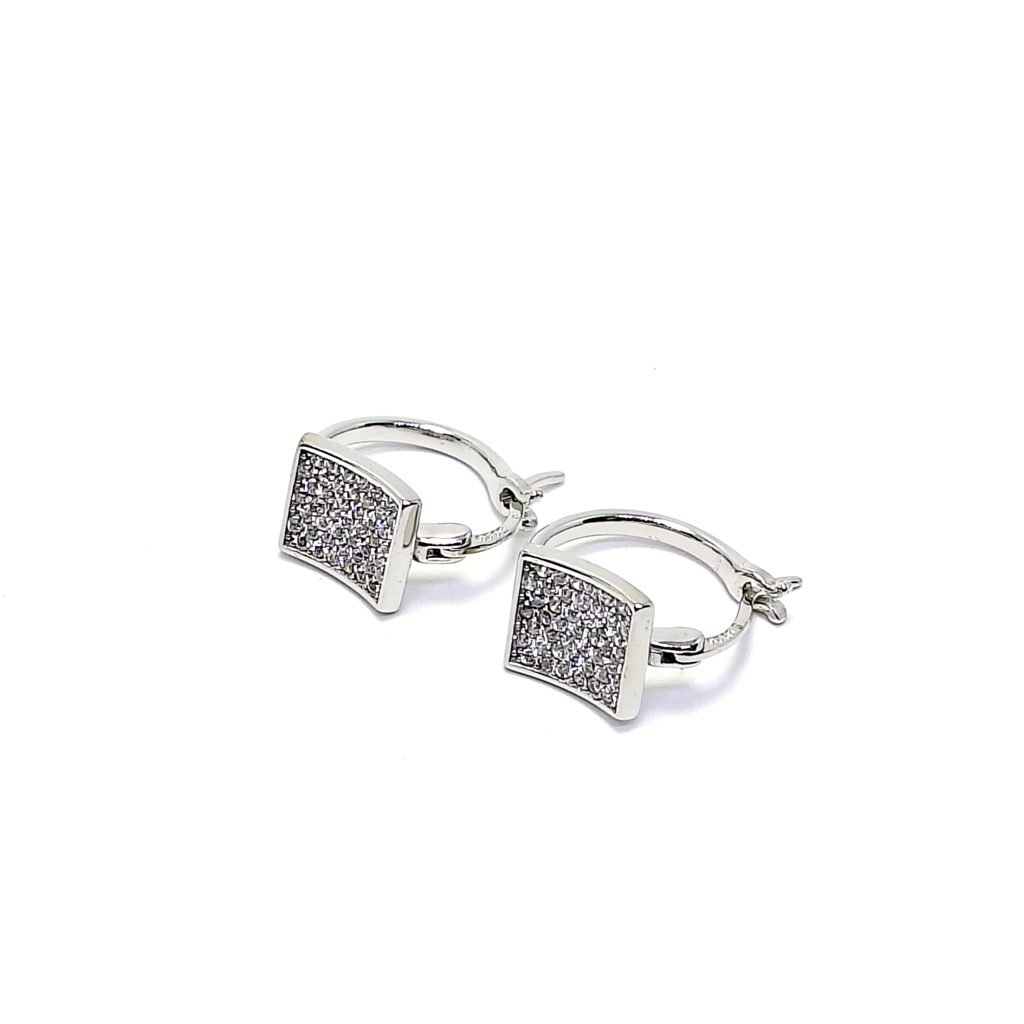 Soft Shine 925 Silver Earrings : RER-120012