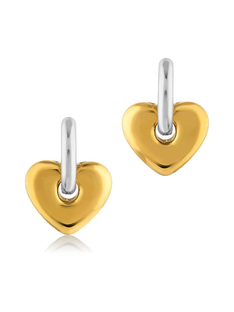 Golden Heartshine Earrings Stainless Steel Waterproof & Anti-Tarnish : E89SJSS0T