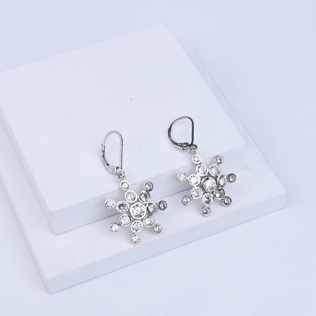 Snowflake Silver Earring | Cz | 92.5 Silver : CZ_Stone_Studded_Rectangle_Silver_Earring_july24