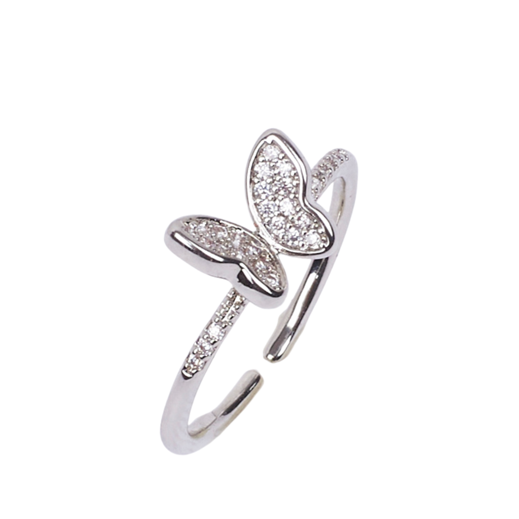 Love Aura Box : HEARTBOX-SILVER-3