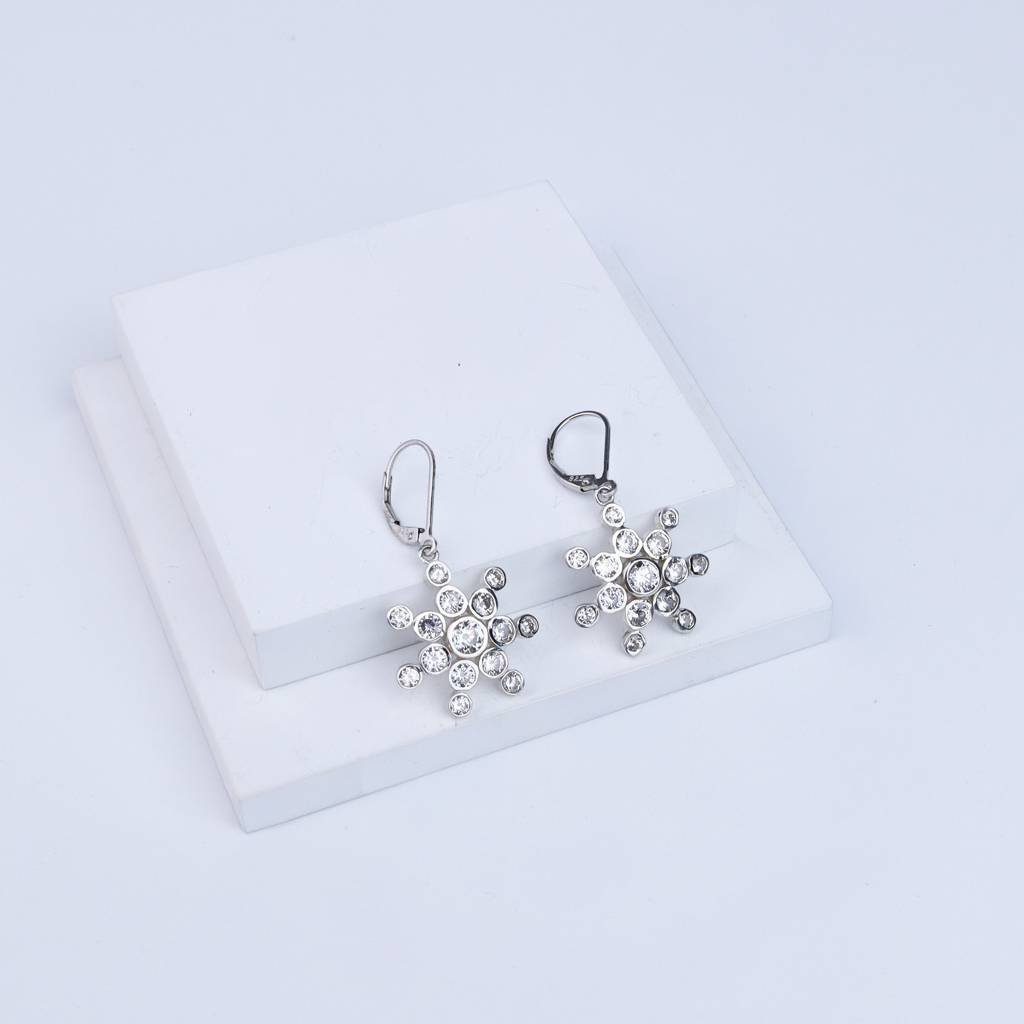 Snowflake Silver Earring | Cz | 92.5 Silver : CZ_Stone_Studded_Rectangle_Silver_Earring_july24