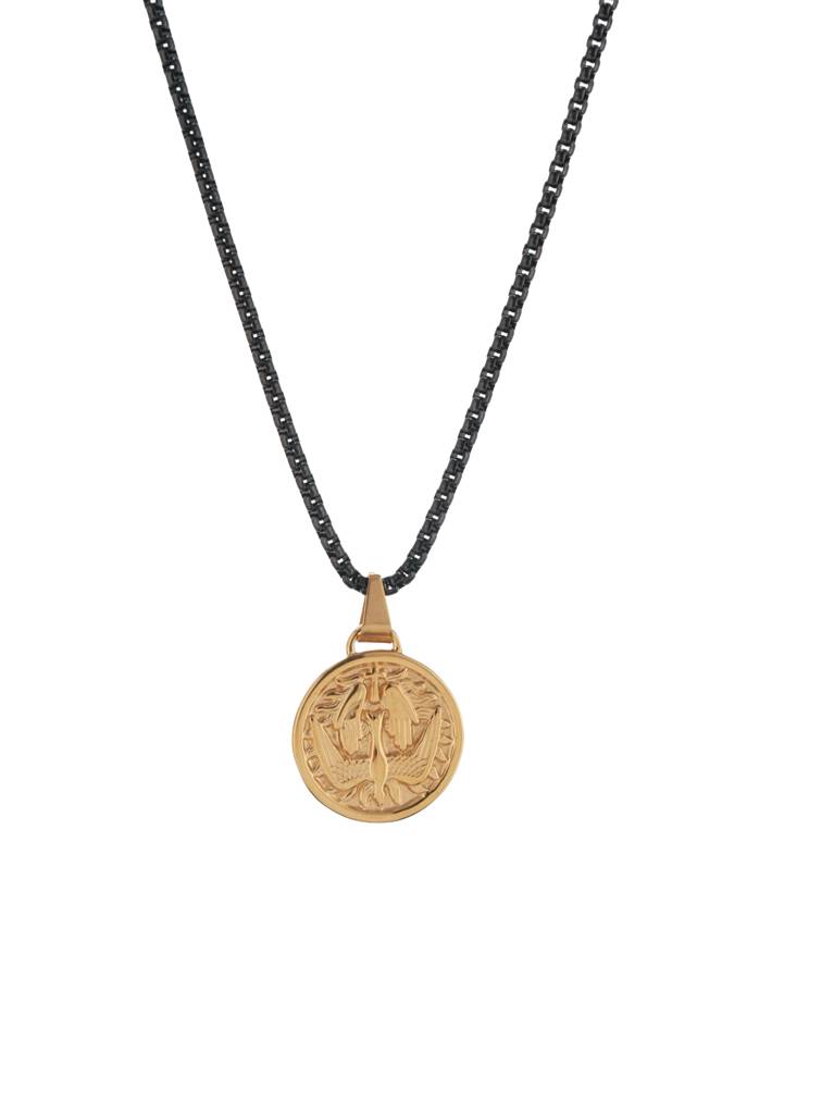 Sovereign Flight Coin Pendant- Gold : Z-MN-NL-06