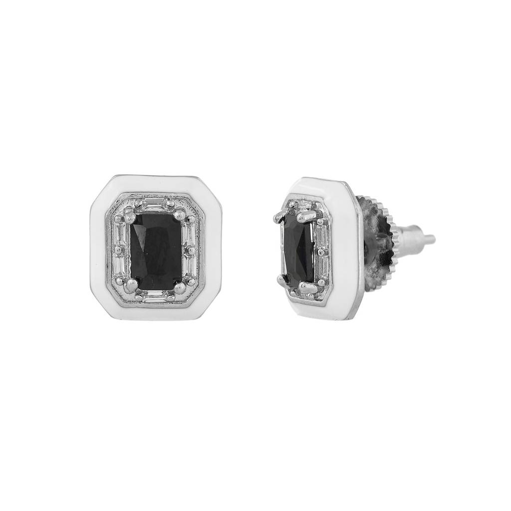 Sparkling Essentials Arctic  Stud Earrings : 8905124547832