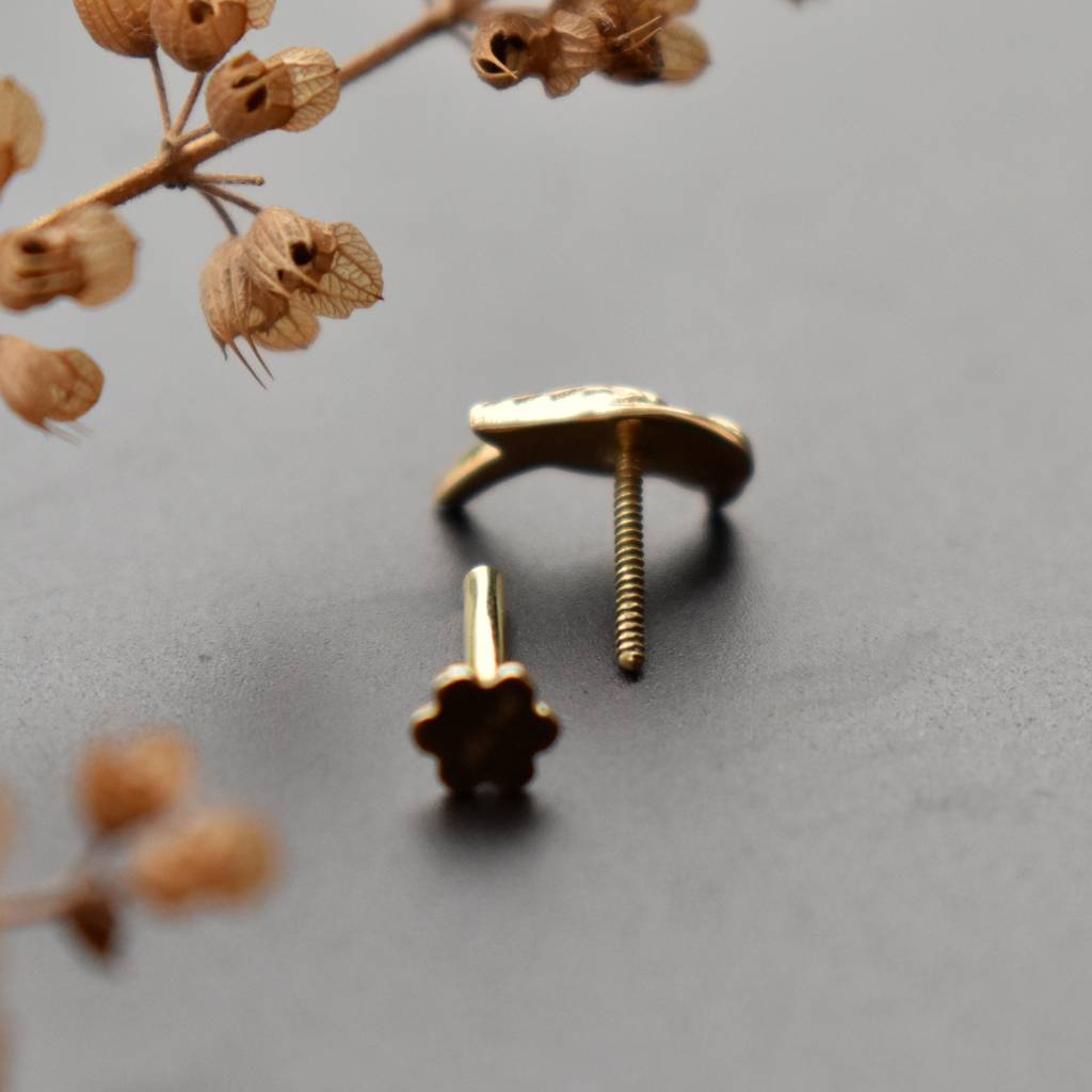 Parrot Nose Stud With Turquoise In 14K Yellow Gold : NP577-14Y-E