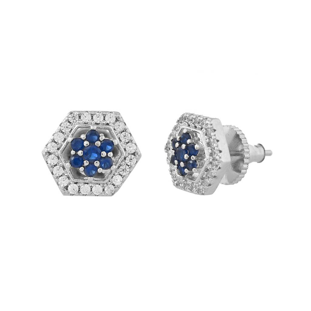 Sparkling Essentials Frosted Dawn Stud Earrings : 8905124547894