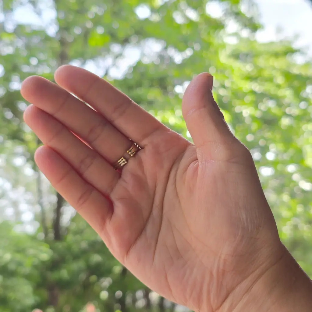 Amethyst Ring 1 : amethyst-ring-1