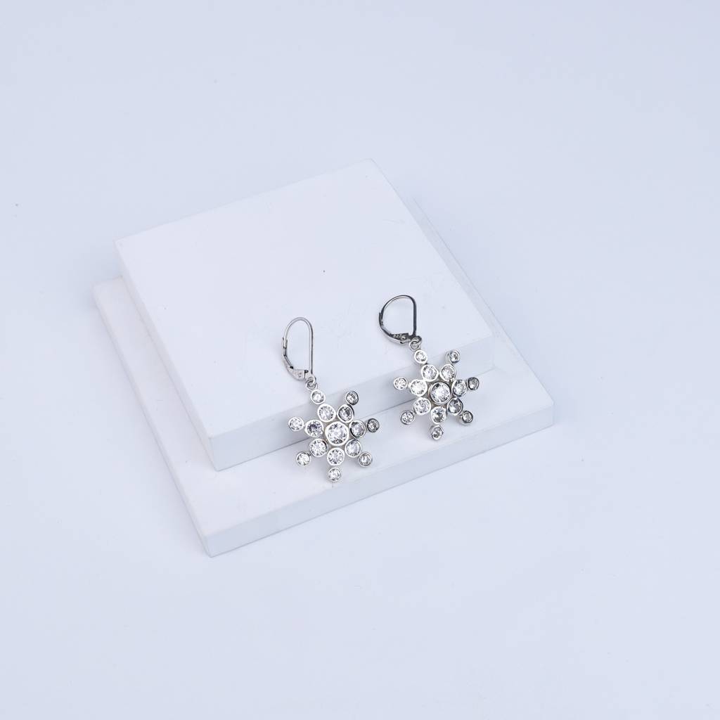Snowflake Silver Earring | Cz | 92.5 Silver : CZ_Stone_Studded_Rectangle_Silver_Earring_july24