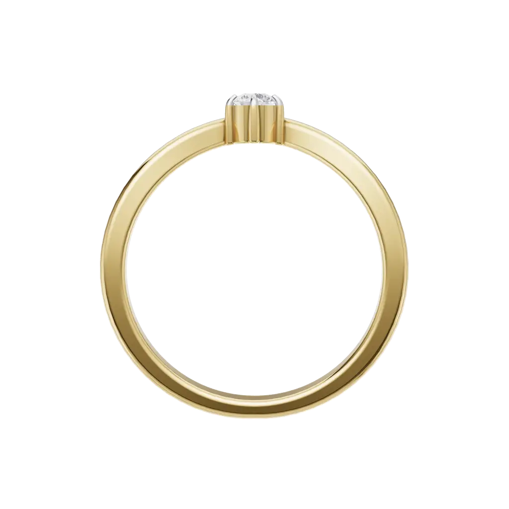 Daily Luxe Ring : 925YellowZNR213F10