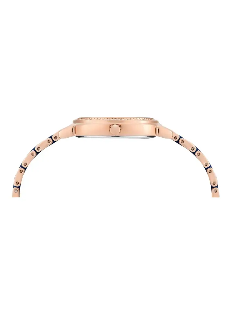 Women 33 Mm Quartz Analog Brass Strap Watch : TWEL274SMU03