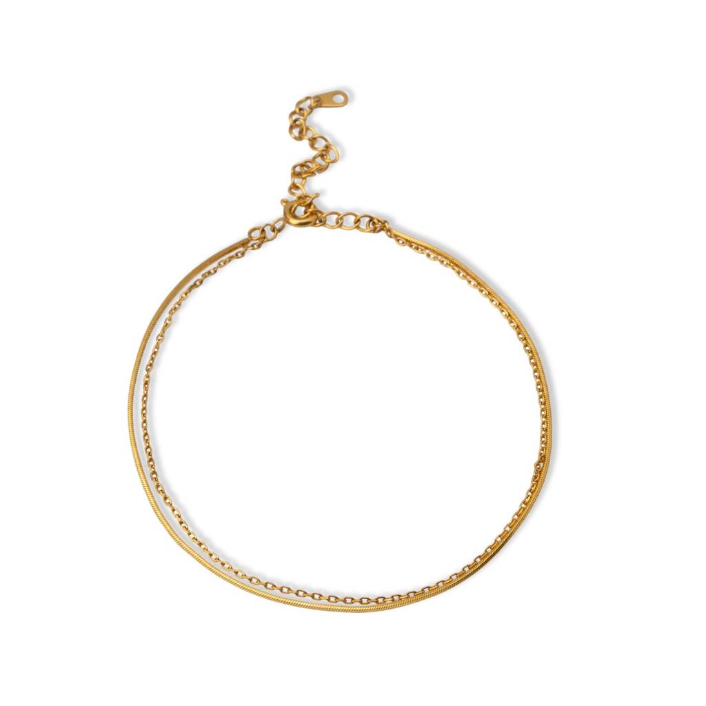 Sleek Dual Layer Anklet For Women - Waterproof & Anti-Tarnish : AN0029