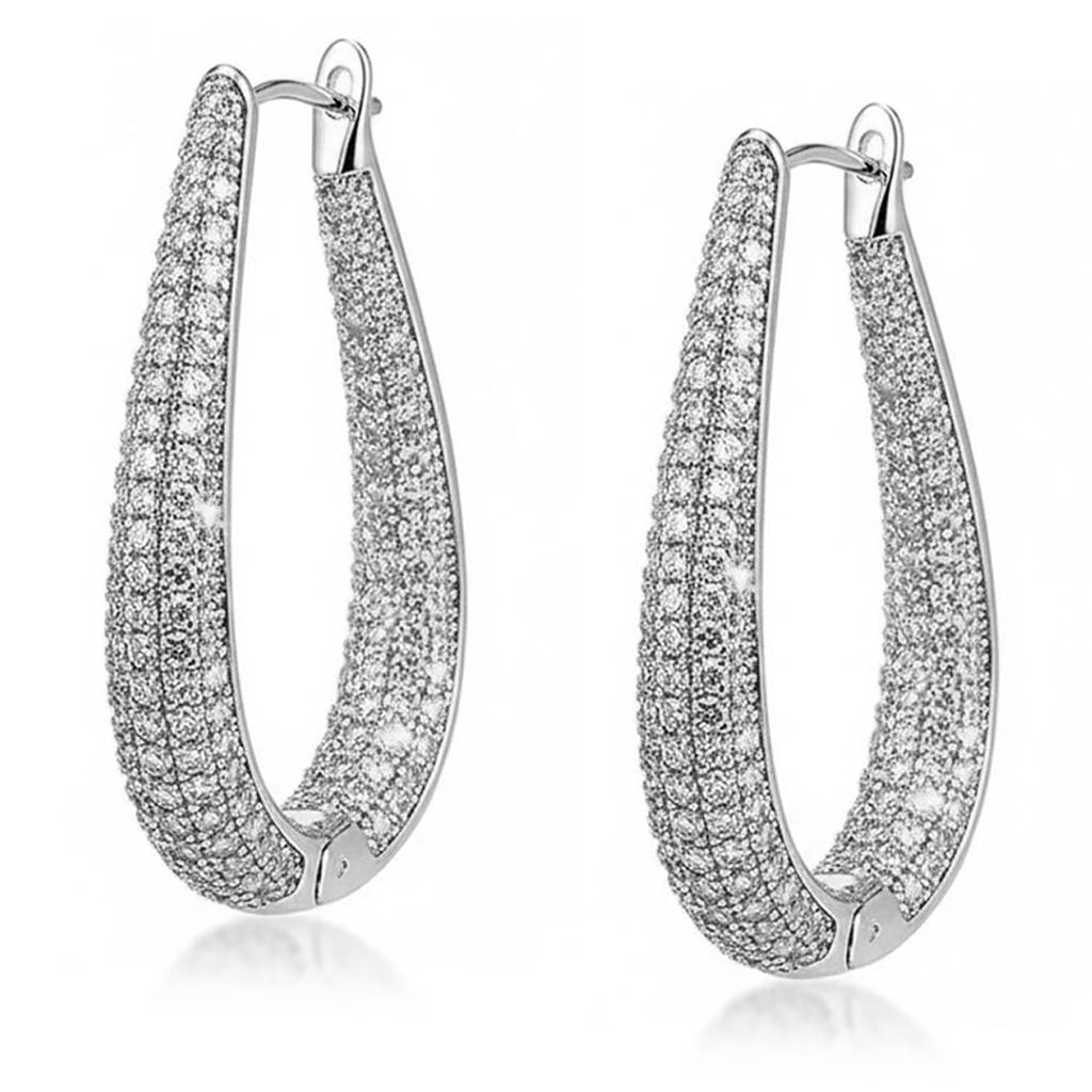 Silver Plated Cubic Zirconia Studded Hoop Earrings Fancy Stylish Jewellery Gift For Women & Girls : PX9E3133S
