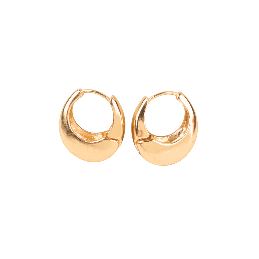 Dazzling Gold Hoop Accents Earring : ES14111-G