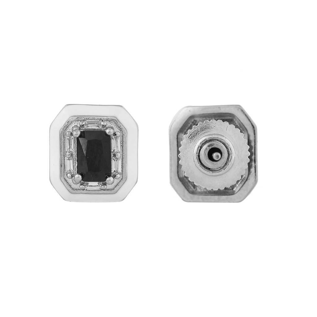 Sparkling Essentials Arctic  Stud Earrings : 8905124547832