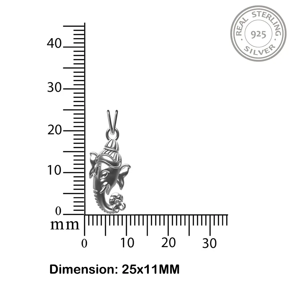 ZLGDP-1007