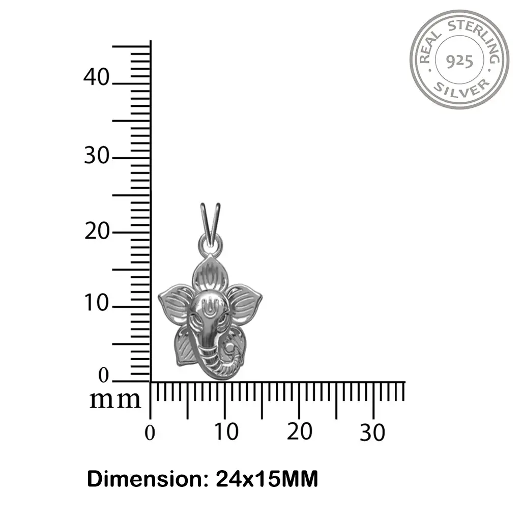 ZLGDP-1011